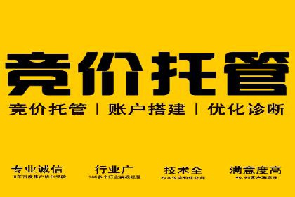 探索百度竞价广告的未来趋势：基于多案例的分析